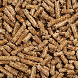 hay pellets for bedding1